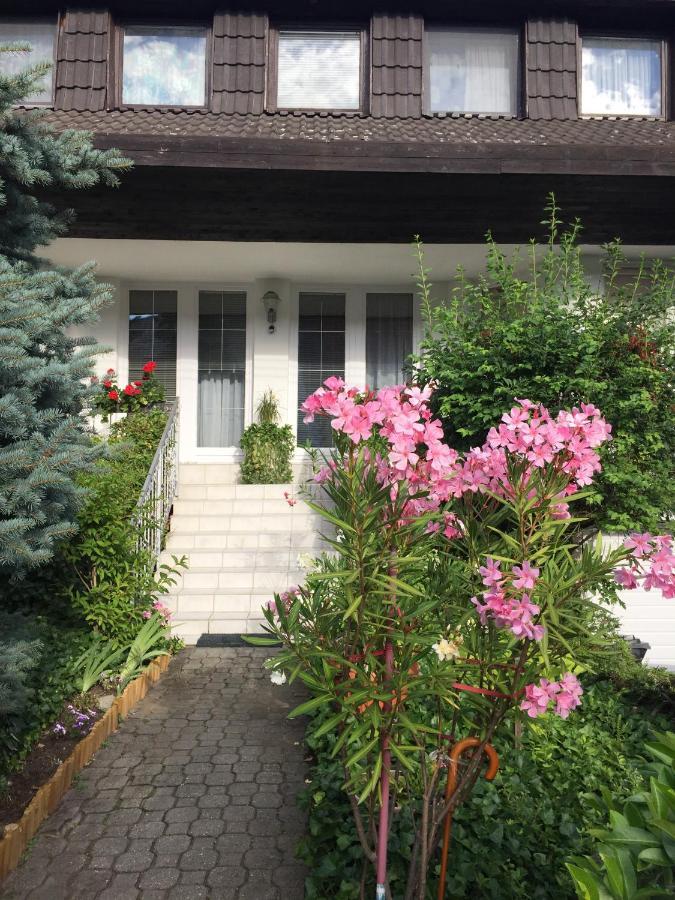 Anna Vendeghaz Eger Apartman Kültér fotó